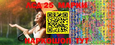 крисы Краснодар