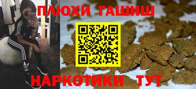 крисы Краснодар