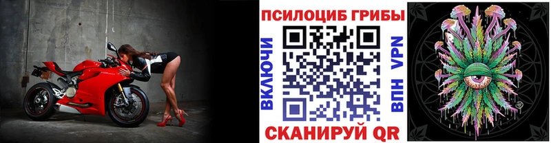 Галлюциногенные грибы Magic Shrooms  MEGA ссылки  Валуйки 