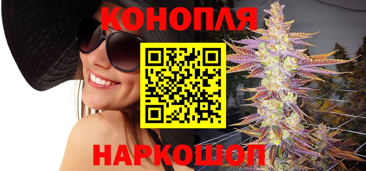 Бошки марихуана планчик  Каннабис конопля  Шишки марихуана OG Kush  Вход с VPN  Валуйки 